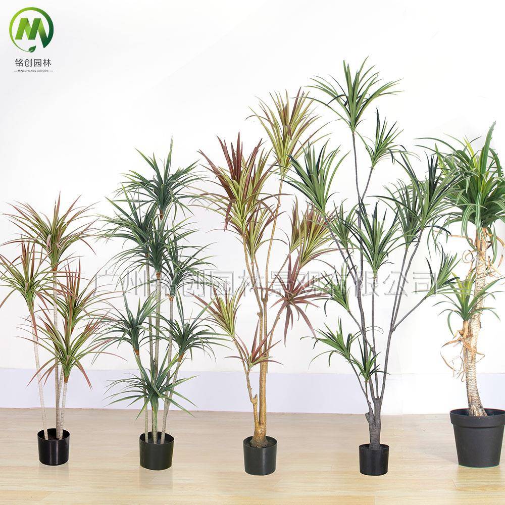 大型绿植装饰千年木铁树仿真龙血树假绿植 室内软装造景仿真绿植