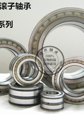常州满装圆柱滚子轴承SL185017 NNCF5017内径85外径130厚度60进口