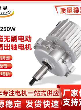 厂家直供永磁无刷电动轮椅出轴电机24V250W