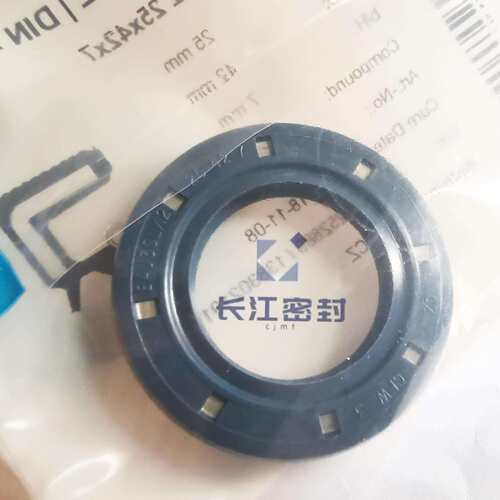 德国CFW骨架油封 BAU4SLX2 双唇AS 丁腈橡胶 72-95-12-8 50*90*8