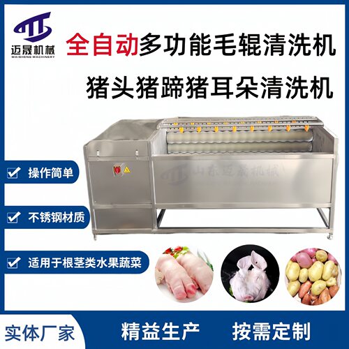 迈晟副产清洗设备 猪头猪蹄猪耳朵清洗机 定制猪头毛辊清洗机器