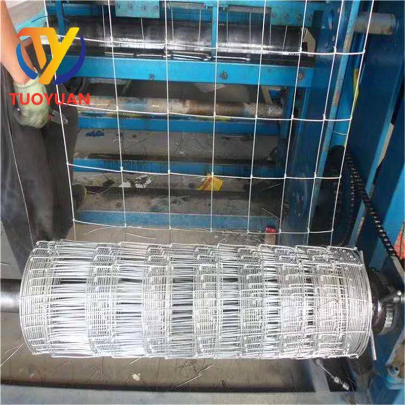 养殖钢丝网养牛羊鹿马围栏镀锌铁网现货果园围栏网草原铁丝网