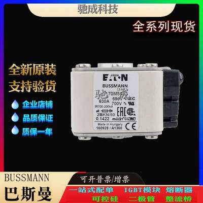 巴斯曼170M5463 170M5464 170M5465 经销 出厂价格 快速保险丝