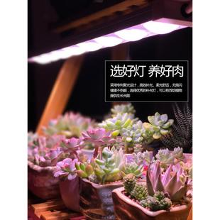 科瑞LED植物生长灯全光谱多肉补光灯上色室内雨林缸盆栽微景观灯