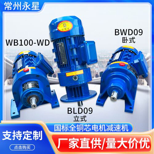 BWD09卧式BL09立式微摆WB100-WD-LD国标全铜芯电机摆线针轮减速机