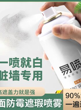 防水补墙膏墙面墙布墙纸除霉剂白色翻新自喷漆脏污遮盖防潮修补剂