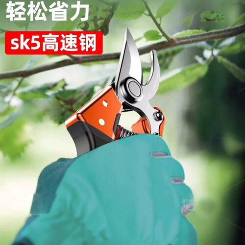 德国品质园艺剪树枝专用剪刀SK5修枝剪园林果树修花粗枝省力剪子