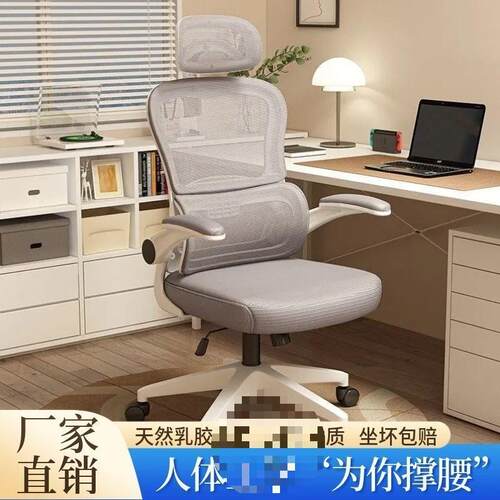 家用人体工学椅子电脑椅家用舒适久坐办公椅学习椅电竞椅学生专用