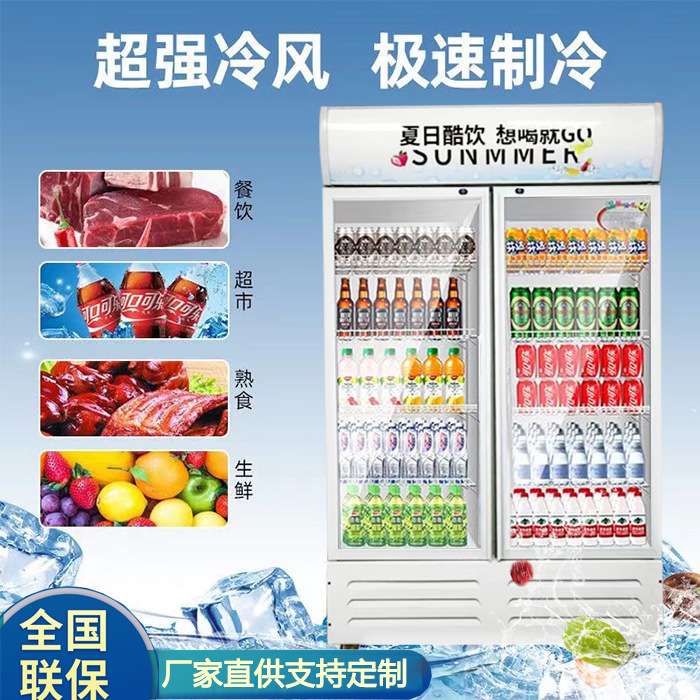 饮料柜商用冰柜冰箱单门啤酒柜超市饭店风冷无霜保鲜冷藏展示柜
