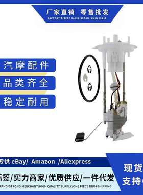 8L3Z9H307D,6L3Z9H307D,4L3Z9H307DF,E2436M燃油泵总成适用福特