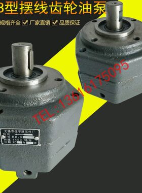 B5 齿轮油泵12  B B16BBB线8N 40010-Y25 BBBB5 4 B 摆32B0 66B3