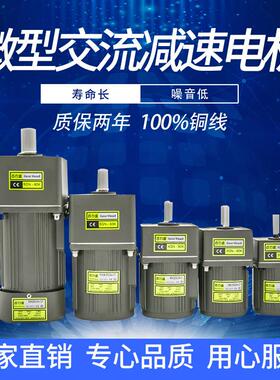 6W15W25W40W60W120W180W200W250W300W400W齿轮调定减速口罩机电机