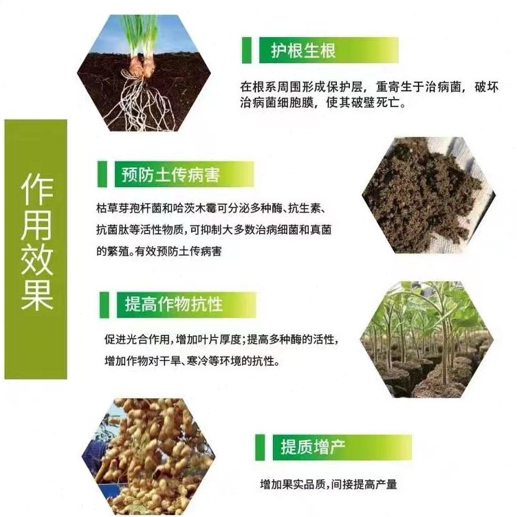 芽孢杆菌种植枯草亿微0菌肥农业生物兽10水产养殖通用0用