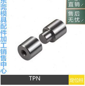 16日 2513035 圆形TP锥定位柱 模具  20度30 N142精定位销标组件