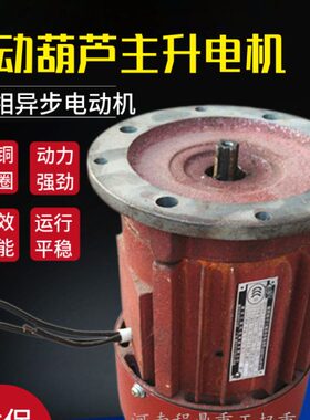 ZD- .W0-主起升Y电动葫芦.124电机4K吨25 0