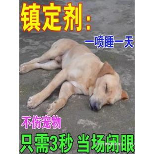 狗狗麻醉镇定剂快速睡觉神器猫咪安眠情绪安抚狗乱叫咬片