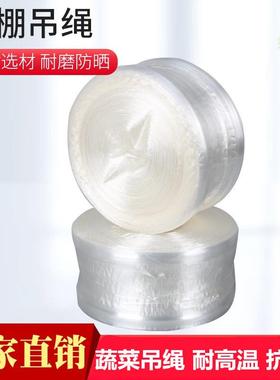 蔬菜吊绳耐高温大棚绳防老化绳网状 平板 吊蔓绳子白色吊秧绳