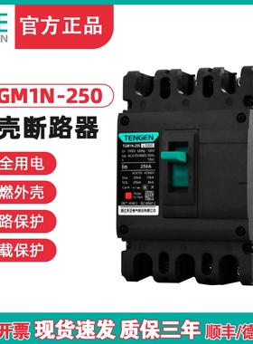TENGEN天正电气 TGM1N-250L/3300 250A塑壳断路器225a空开200a 3P