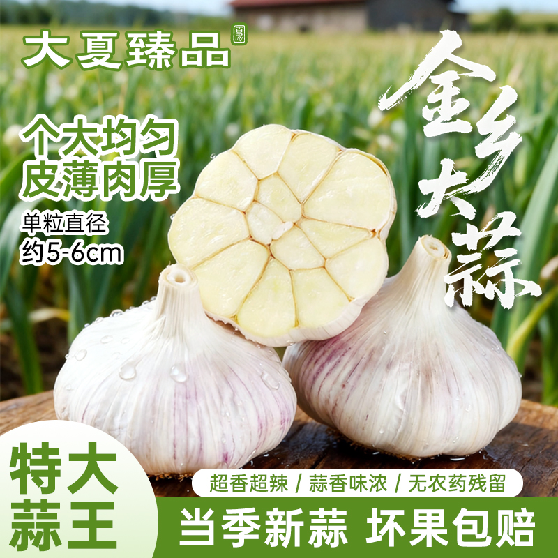大夏臻品山东金乡大蒜头新鲜紫皮干蒜5斤本地农家白皮独头蒜种子