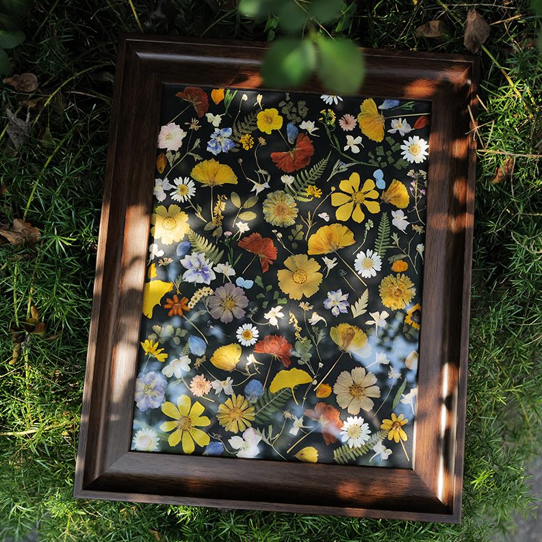 复古装饰画压花画框 礼物样板间挂画玻璃客厅花朵手工 花艺干花图片