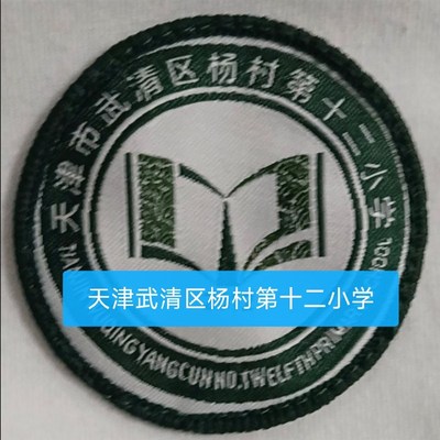 天津市校徽布贴定制和平t红桥东丽西青津南北辰武清区实验中小学