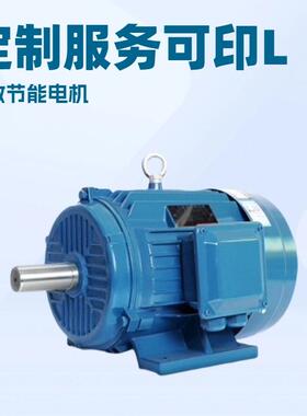 电机厂家直销Y100L2-12 0.55KW三相异步电动机 质保一年 铜心