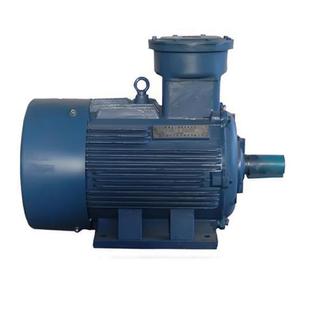 7.5KW隔爆三相异步电动机 铜芯线EXDIIBT4防爆电机厂家YB3 132M