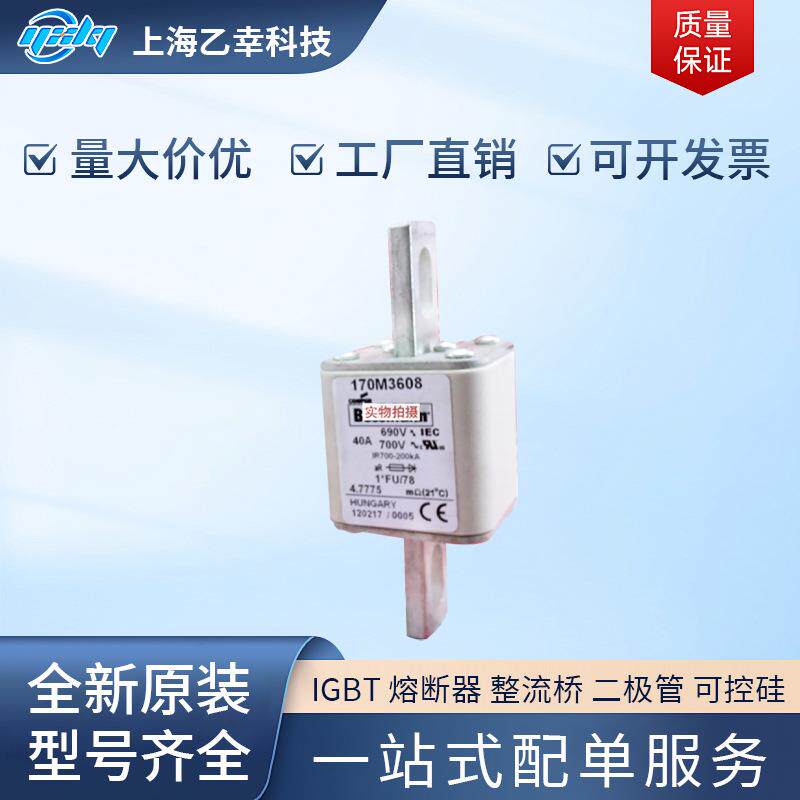 巴斯曼熔断器 170M4247 170M4258 170M4259 170M4260 170M4261