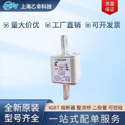 巴斯曼熔断器 170M4247 170M4258 170M4259 170M4260 170M4261