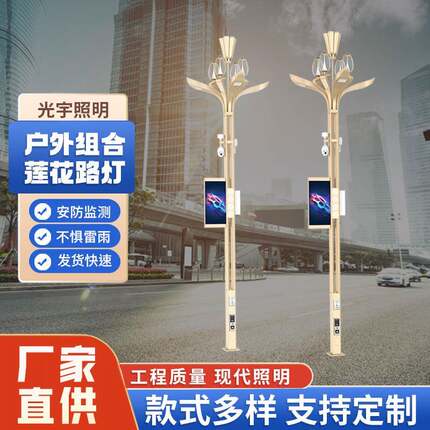 组合灯户外异型景观灯市政照明工程广场公园道路LED照明路灯