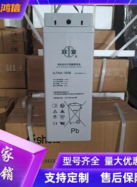双登6-FMX-100B 铅酸蓄电池组12V100AH通信免维护型狭长蓄电池