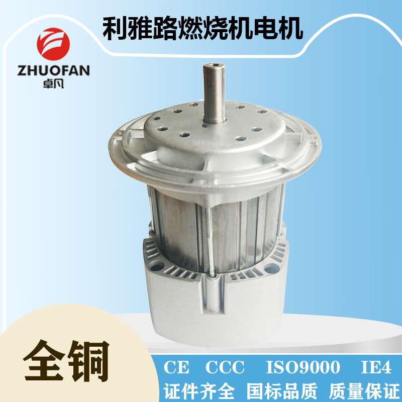 【卓凡电机】利雅路电机燃烧器风机RIELLO专用电机300W350WRS34RS