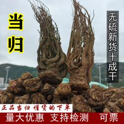 非野生全当归 甘肃特产岷县当归 甘肃漳县当归 整个大当归