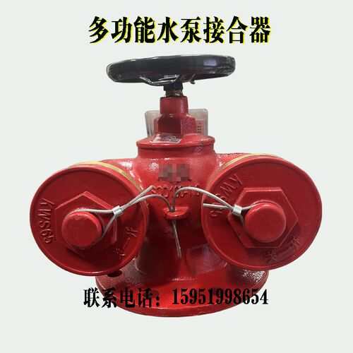 SQD-100-1.6 水泵接合器 地上式 地下式多功能水泵接合器 安全阀