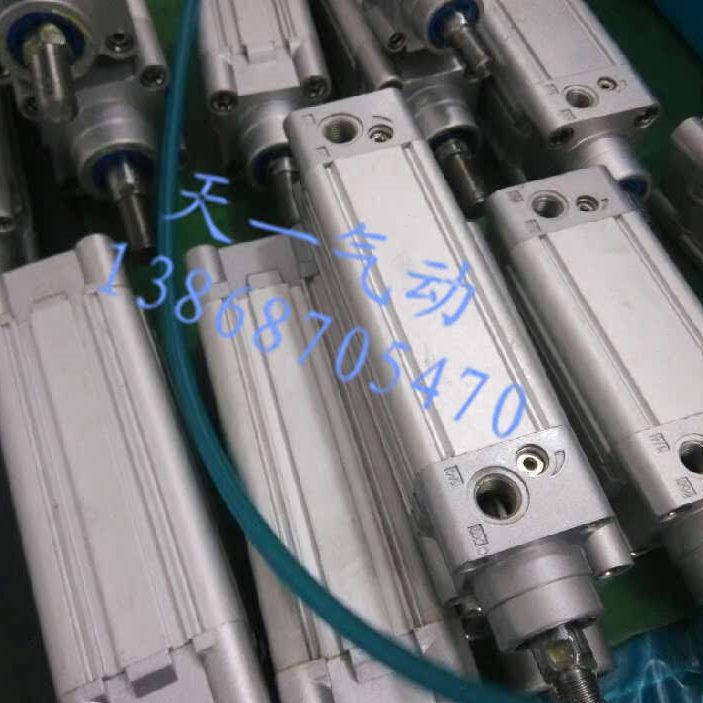 50X--25060P50D-X30N-X1X1X8-X00 250V01025020X9AP气缸75C-