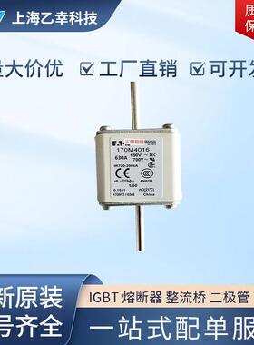 巴斯曼熔断器 170M4921 170M4922 170M4923 170M4924 170M4925