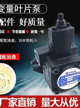 变量叶片泵 液压油泵VHO-F20-A2 VHO-F15/F12/fF30/F40-A2 A1-T9Z