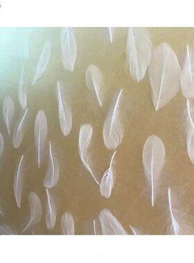 毛酒店隔断屏风亚克力板A有机玻璃白色材料装饰彩色PMM鹅羽毛深圳