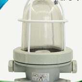 D塑料1航水密V6铁网220W灯顶灯泰2A甲船用CC板炽舱照0白舱室罩