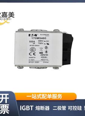 170M5460 170M5462 快速熔断器 保险丝 电子元器件 量大价优