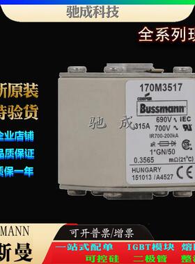 巴斯曼170M3512 170M3513 170M3514 厂家原装优价供应 快速保险丝