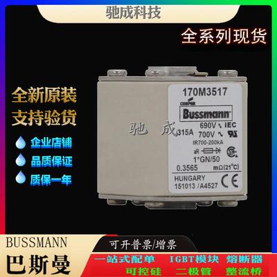 巴斯曼170M3512 170M3513 170M3514 厂家原装优价供应 快速保险丝