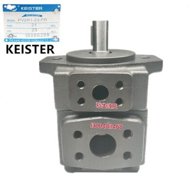 /RST10 25/-凯斯特143P//ER-I23V2KE/72812111/F19/原装/叶片泵R