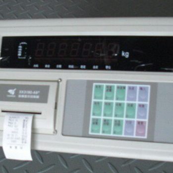 上海耀华电子地磅显示器称重仪表汽车衡控制器XK3190 A9 A9+P打印