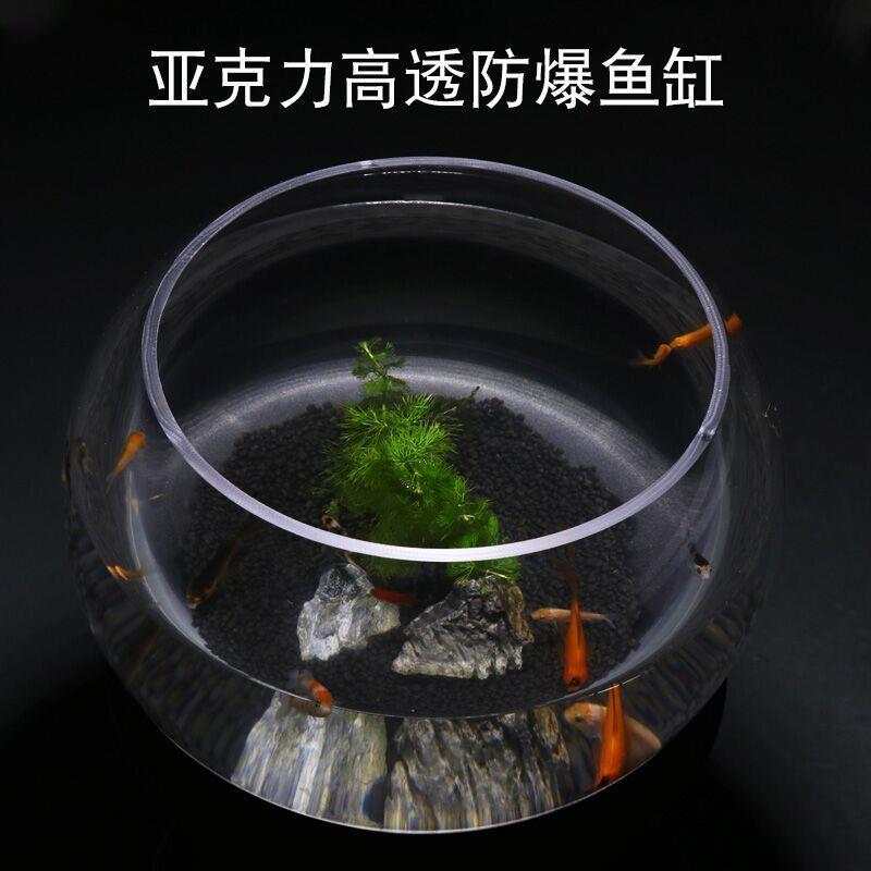 亚克力圆形鱼缸水族箱小型桌面乌龟缸家用迷你金鱼缸客厅一体成型