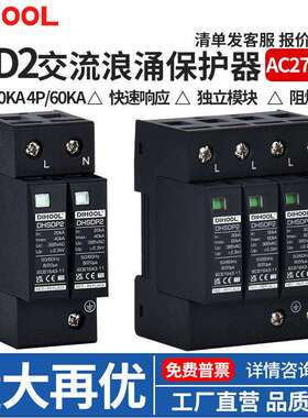 SPD2光伏交流浪涌保护器2P/4P二级AC275/AC385防雷器新能源
