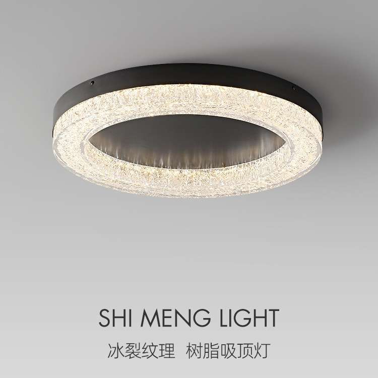 意式极简客厅吸顶灯现代简约高端设计师2024新款家用主卧室房间灯