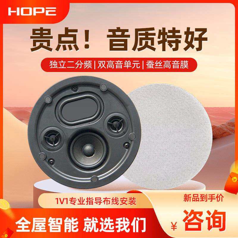 向往HS600背景音乐吸顶音响音箱吸顶防水喇叭超薄带箱体