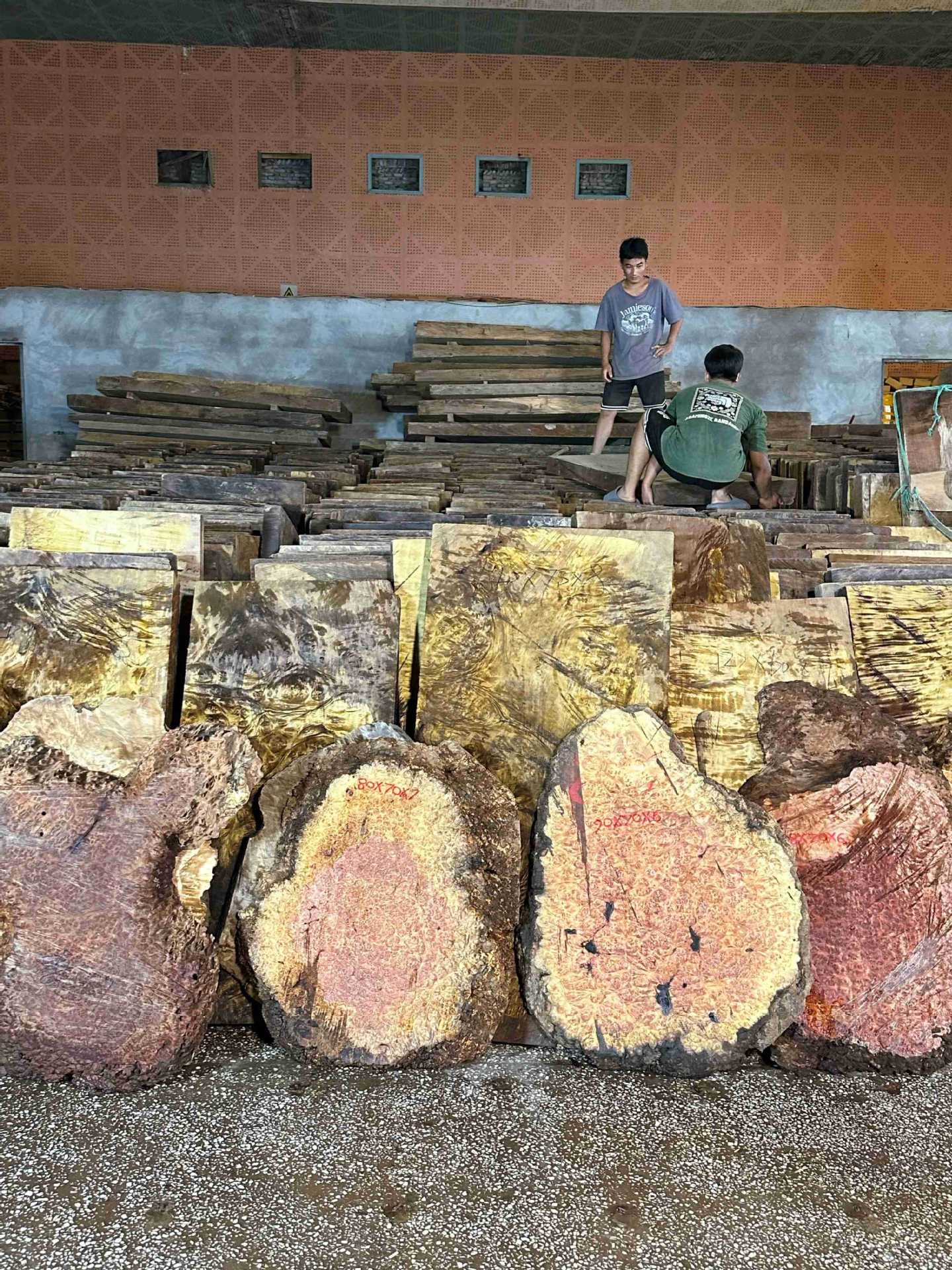 红金樟木爆满树瘤茶盘料 金丝楠木爆满树瘤茶盘料 瘿木瘤