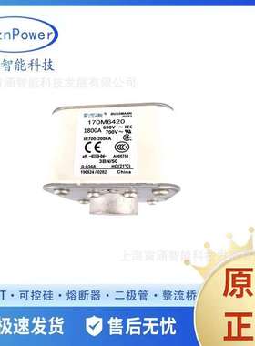 销售快速熔断器自恢复保险丝 170M6420 170M6421 170M6422